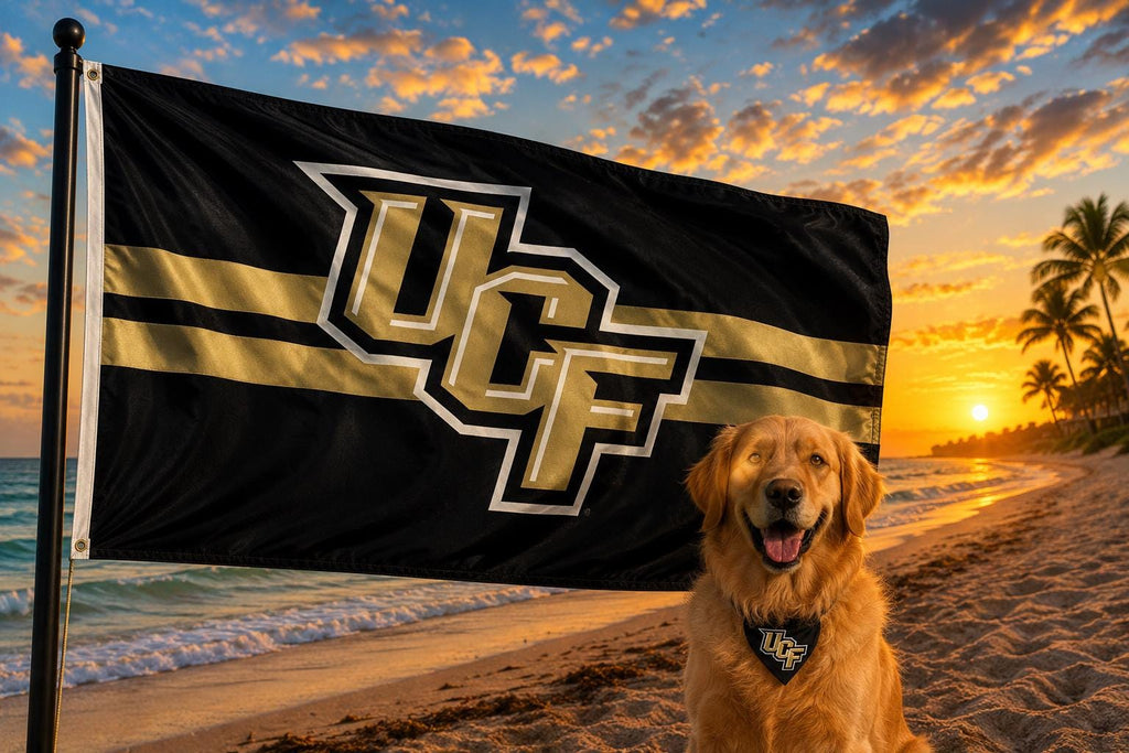 UCF University of Central Florida Knights Flag 3x5 FT Banner NCAA