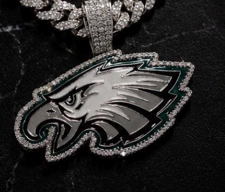 Philadelphia Eagles Bling Pendant & 24" Chain Brand New